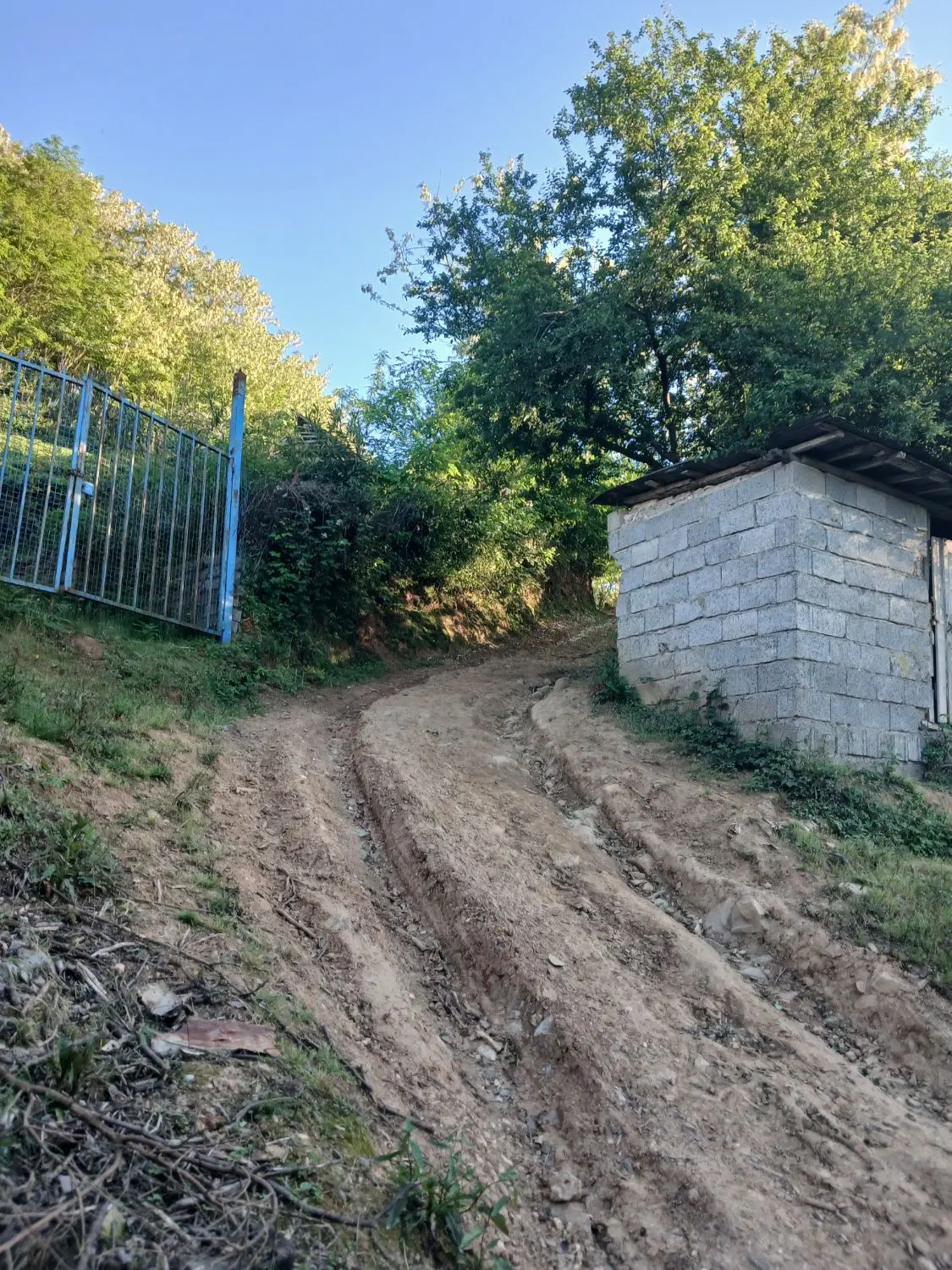 تصویر املاک 145443