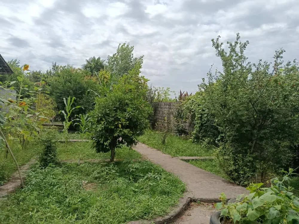 تصویر املاک 94909