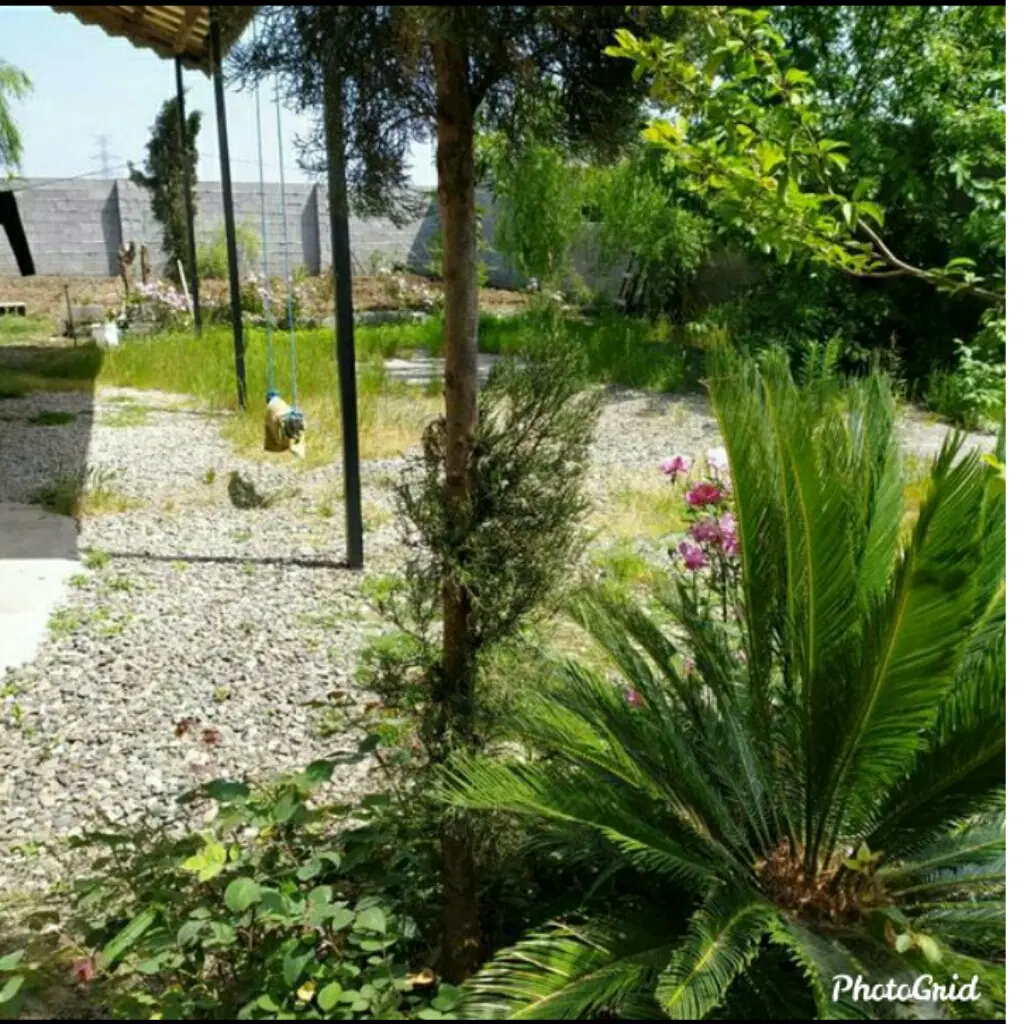 تصویر املاک 55467