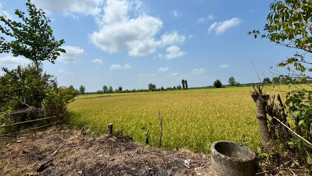 تصویر املاک 114381