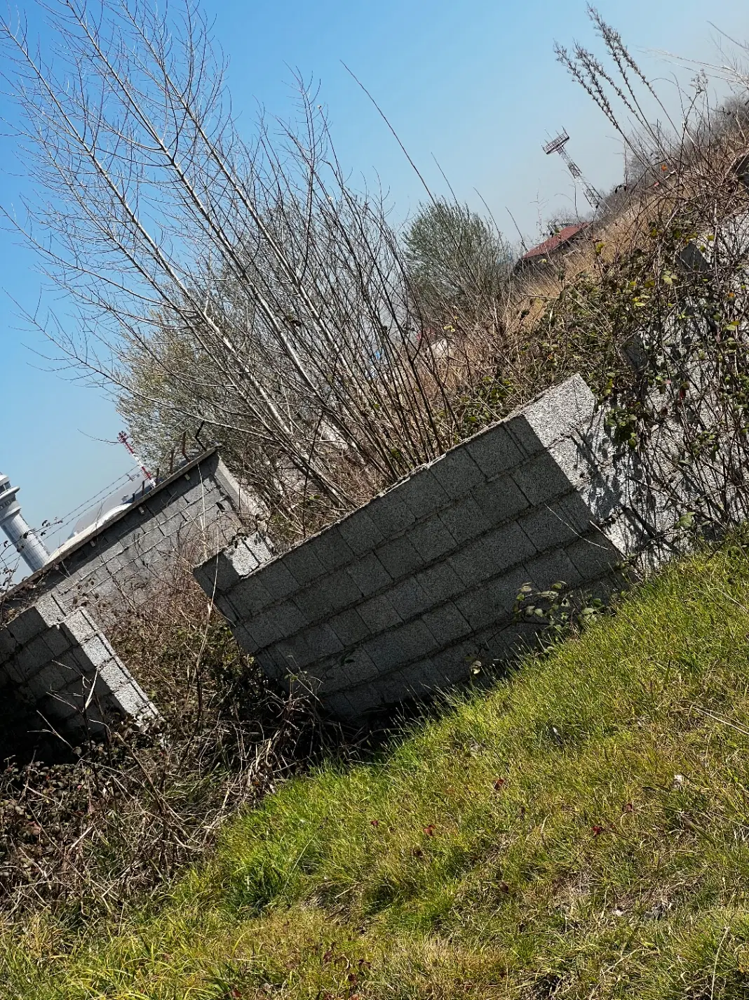 تصویر املاک 68539