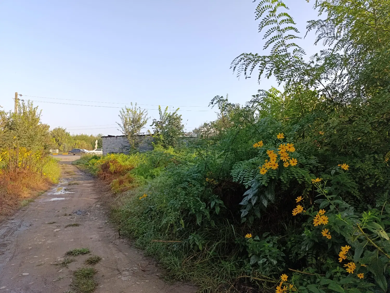 تصویر املاک 62926