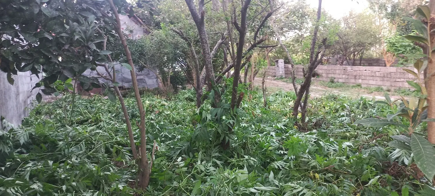 تصویر املاک 116983