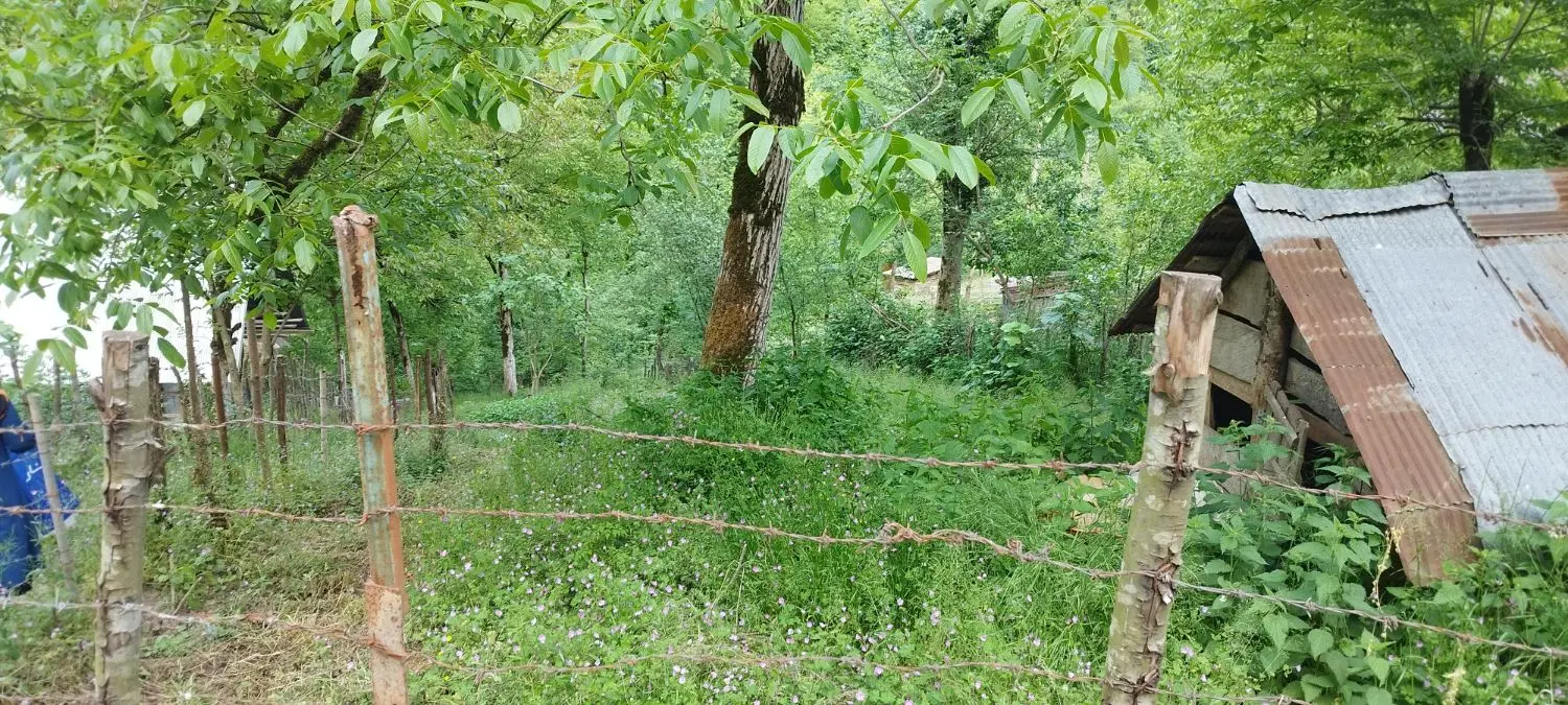تصویر املاک 65940