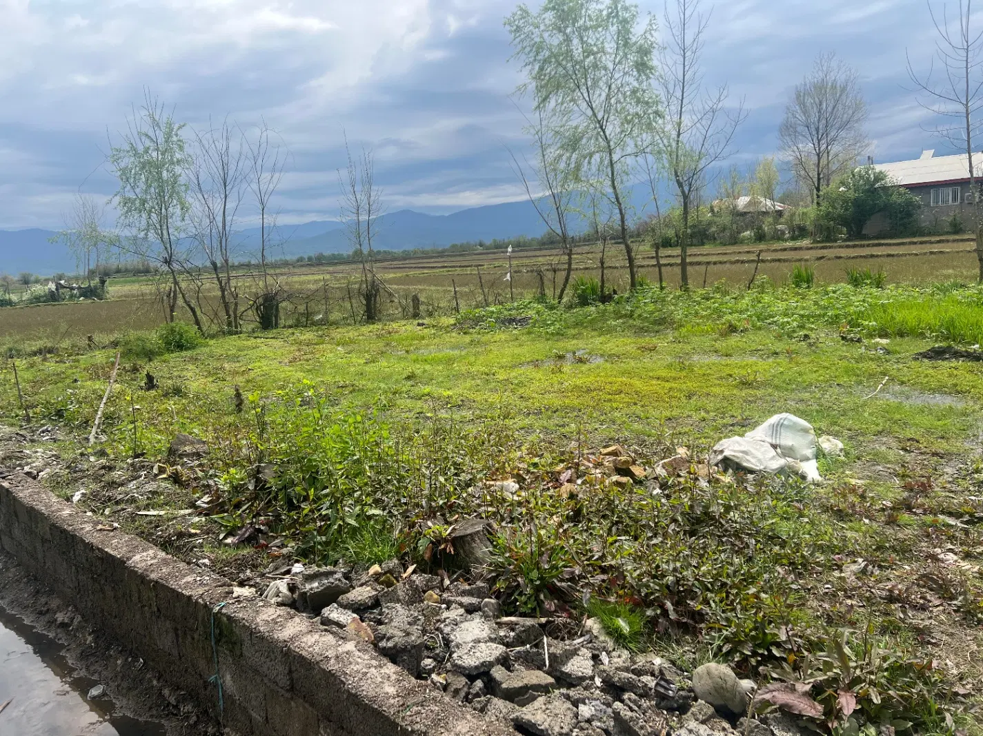 تصویر املاک 129127