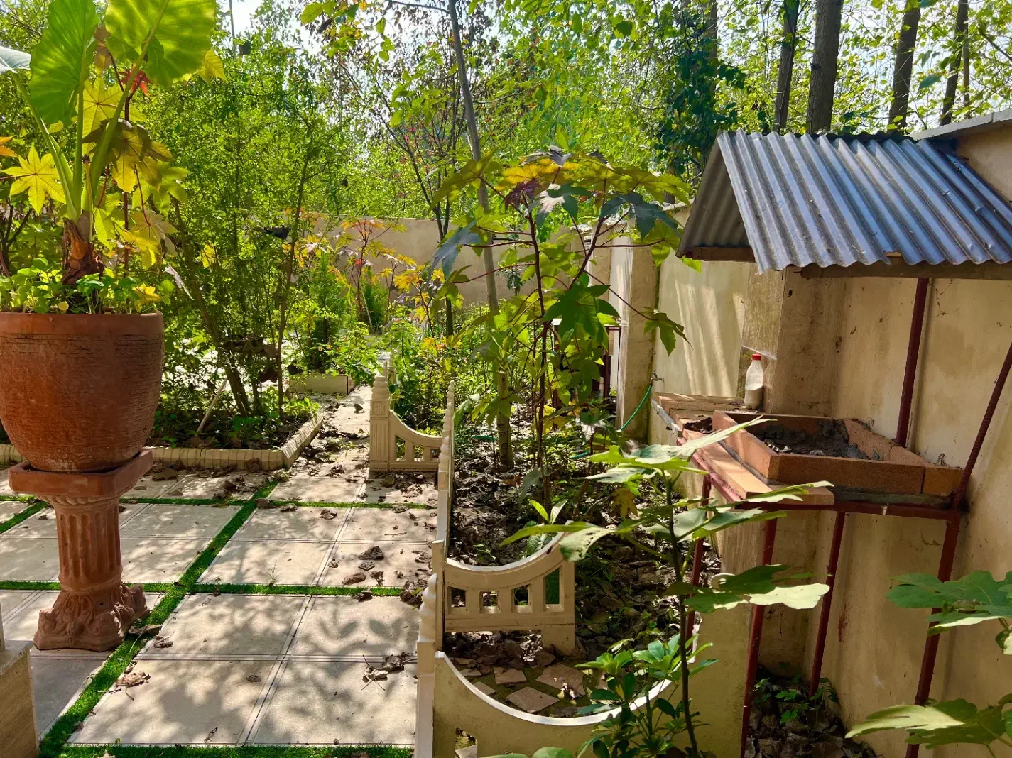 تصویر املاک 6207