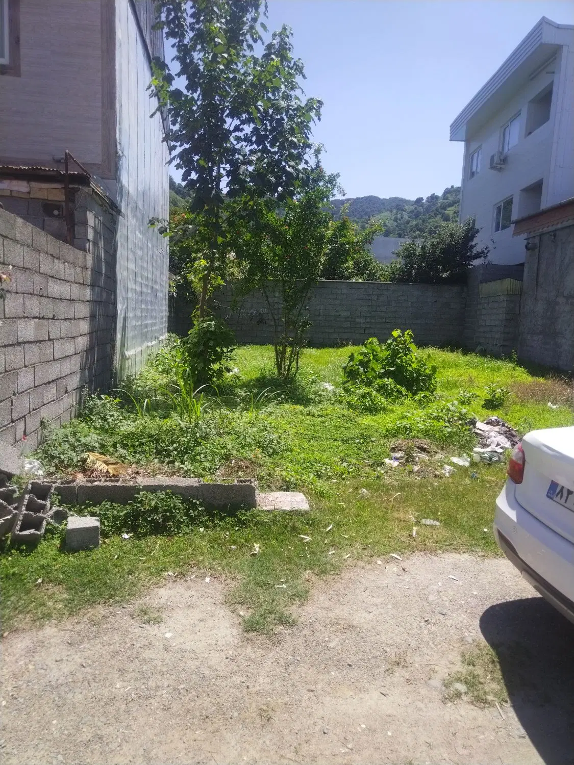 تصویر املاک 55491