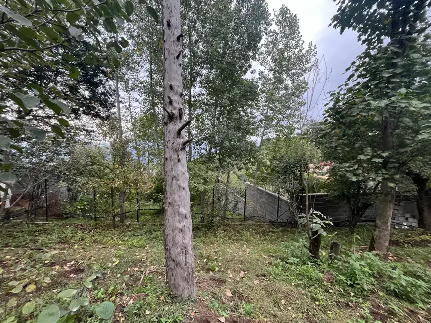 تصویر املاک 8219