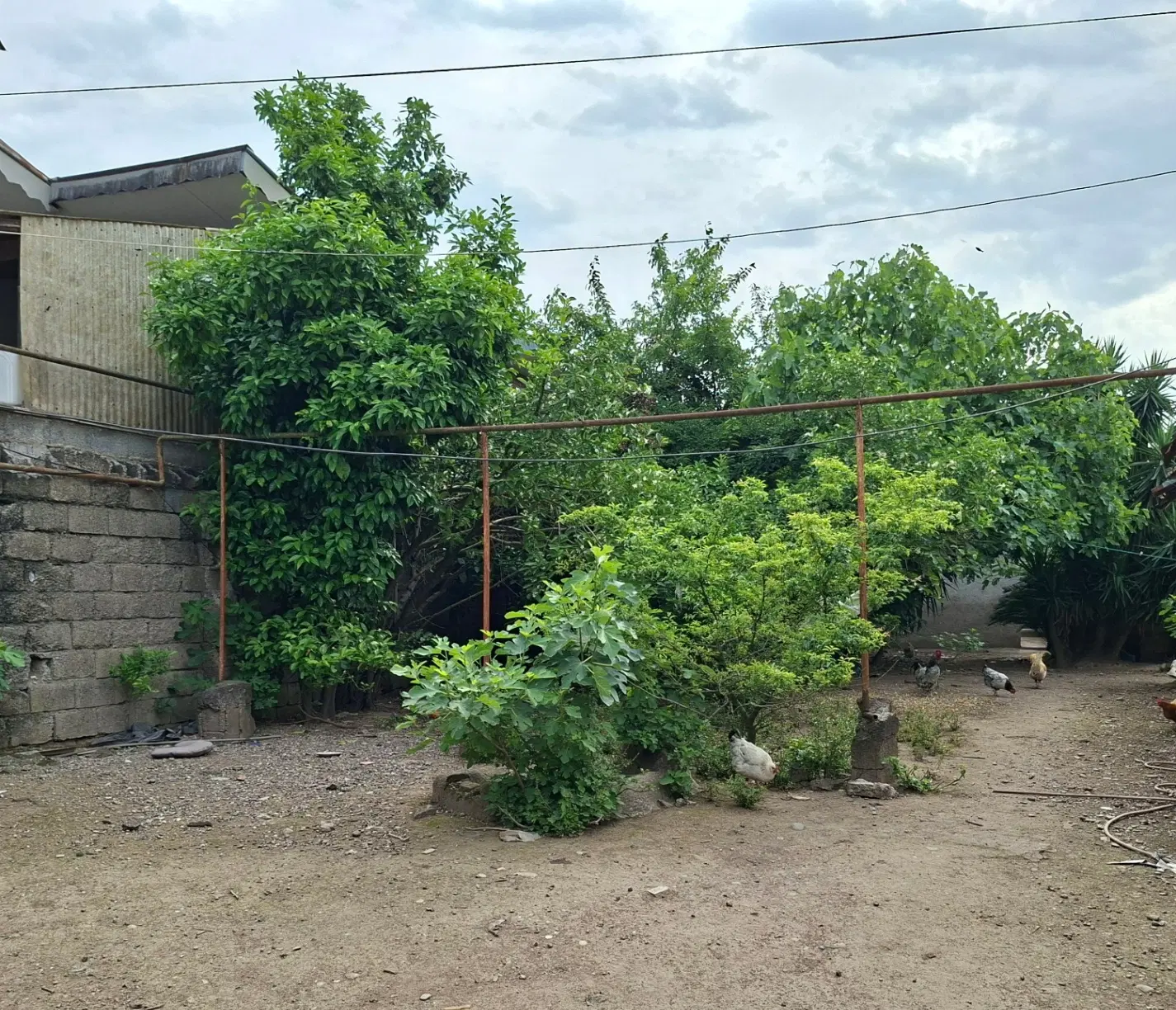 تصویر املاک 46221