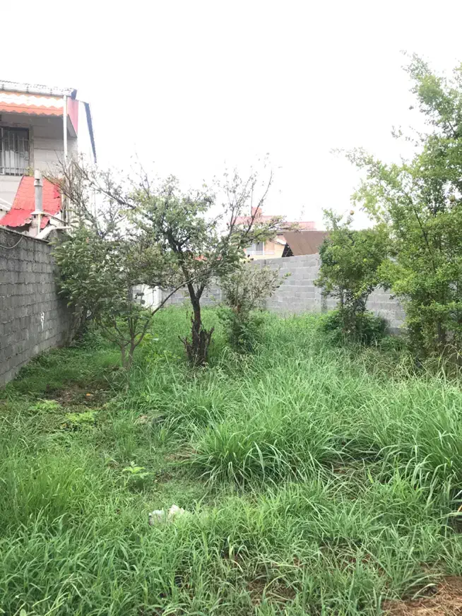 تصویر املاک 39120