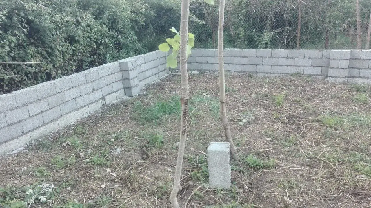 تصویر املاک 110146