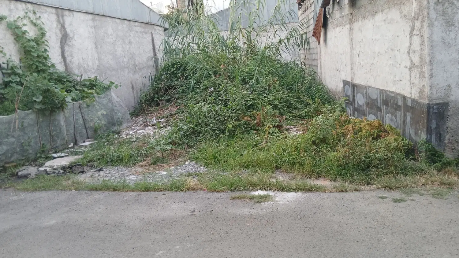 تصویر املاک 125305