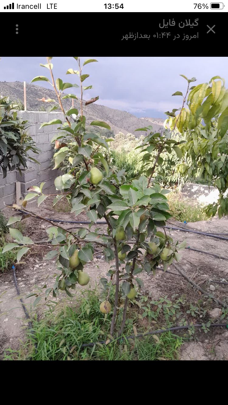 تصویر املاک 55563