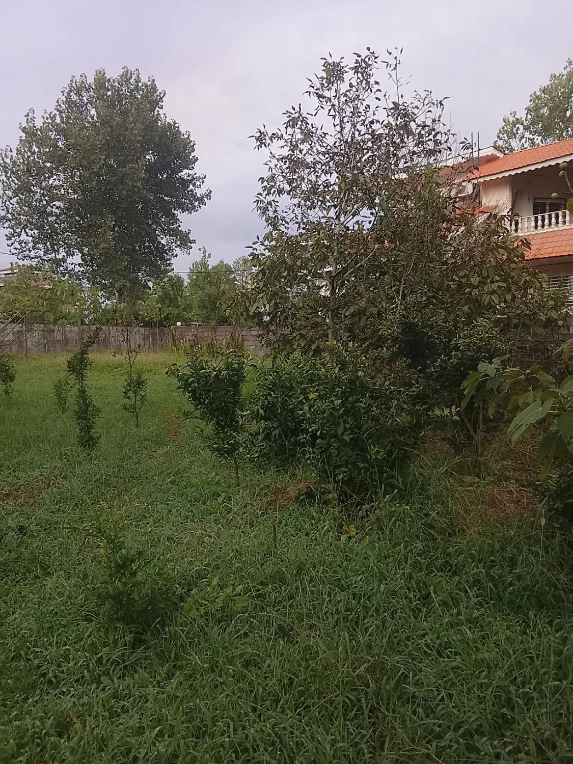 تصویر املاک 121446