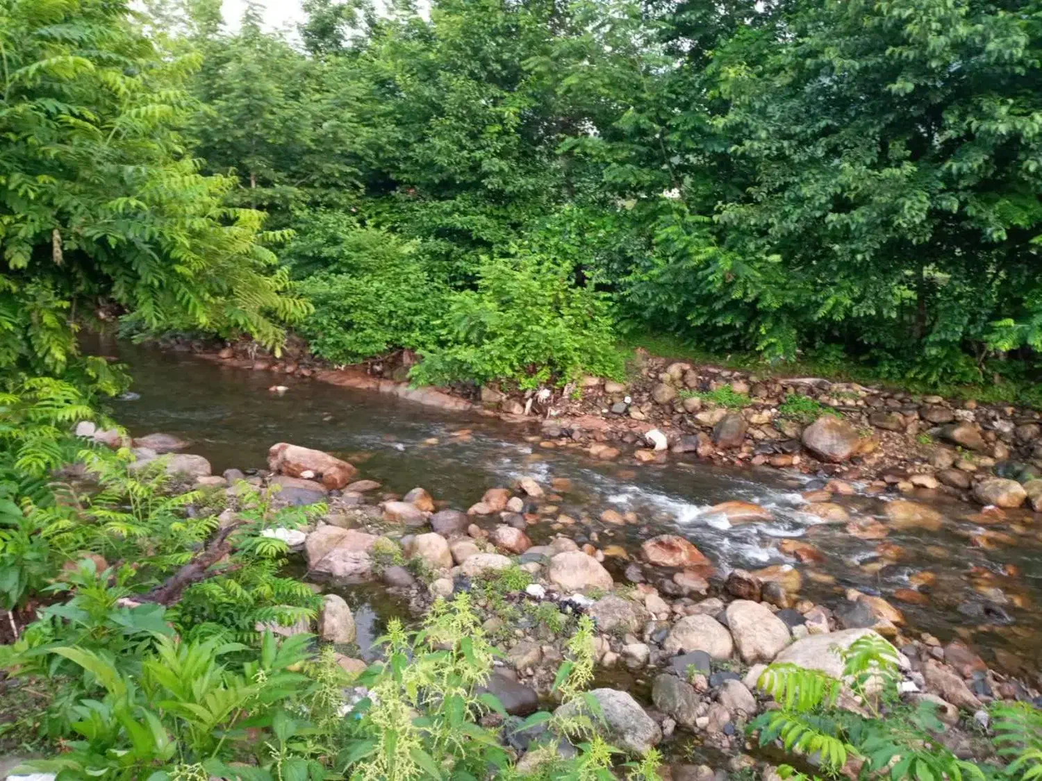 تصویر املاک 35450