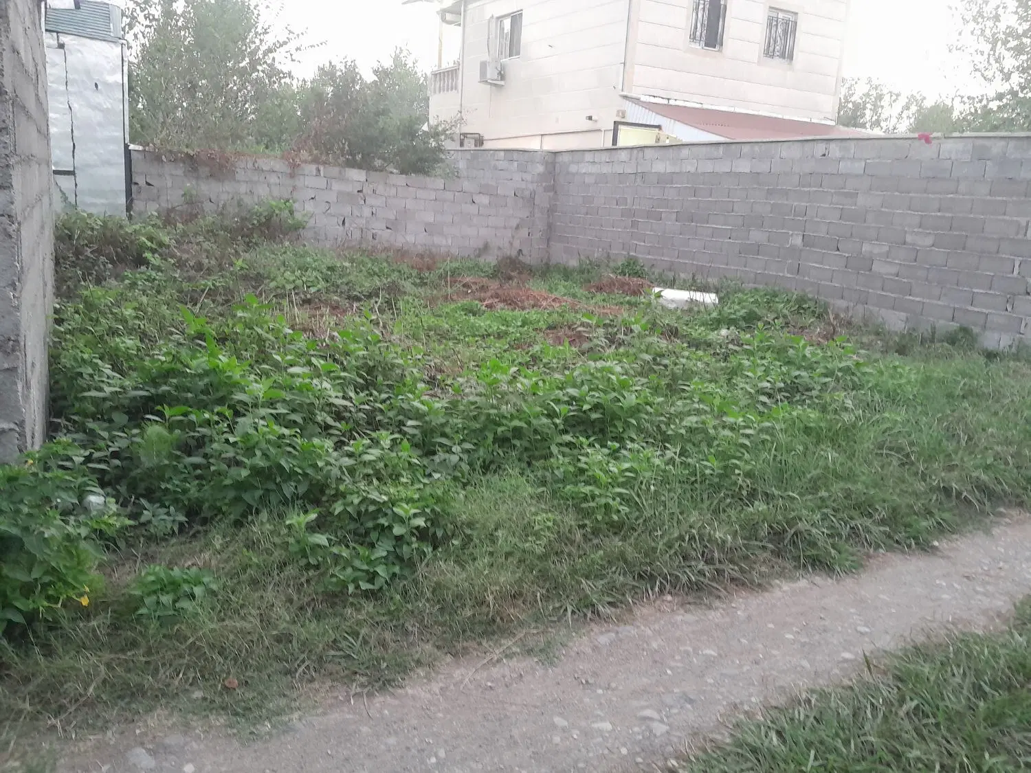 تصویر املاک 142221