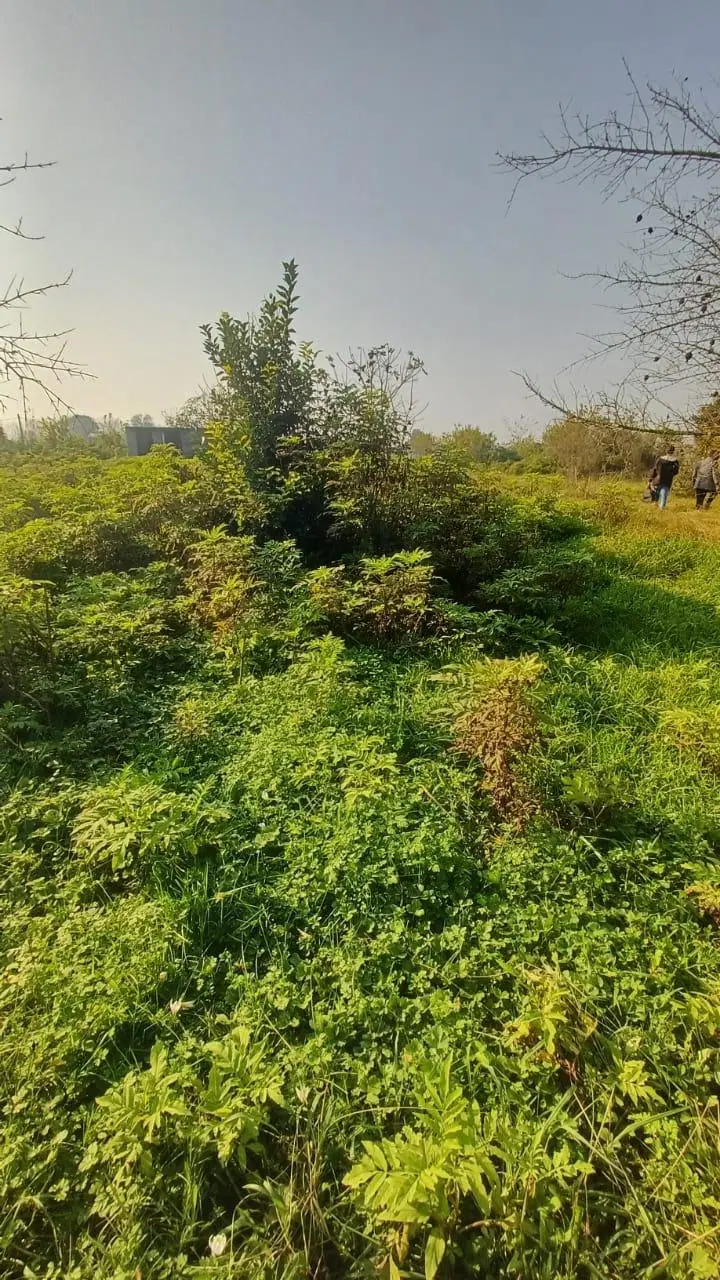 تصویر املاک 103452