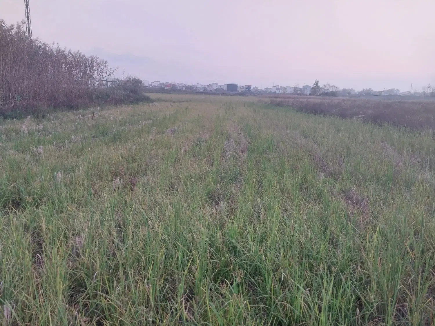 تصویر املاک 94182