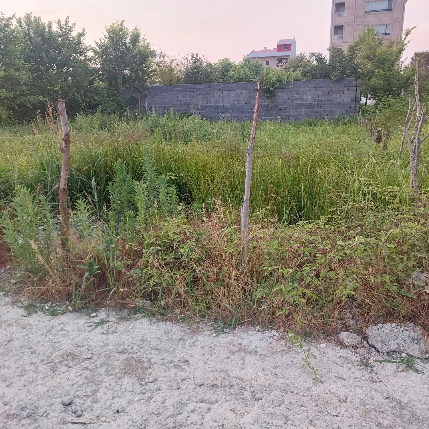 تصویر املاک 53133