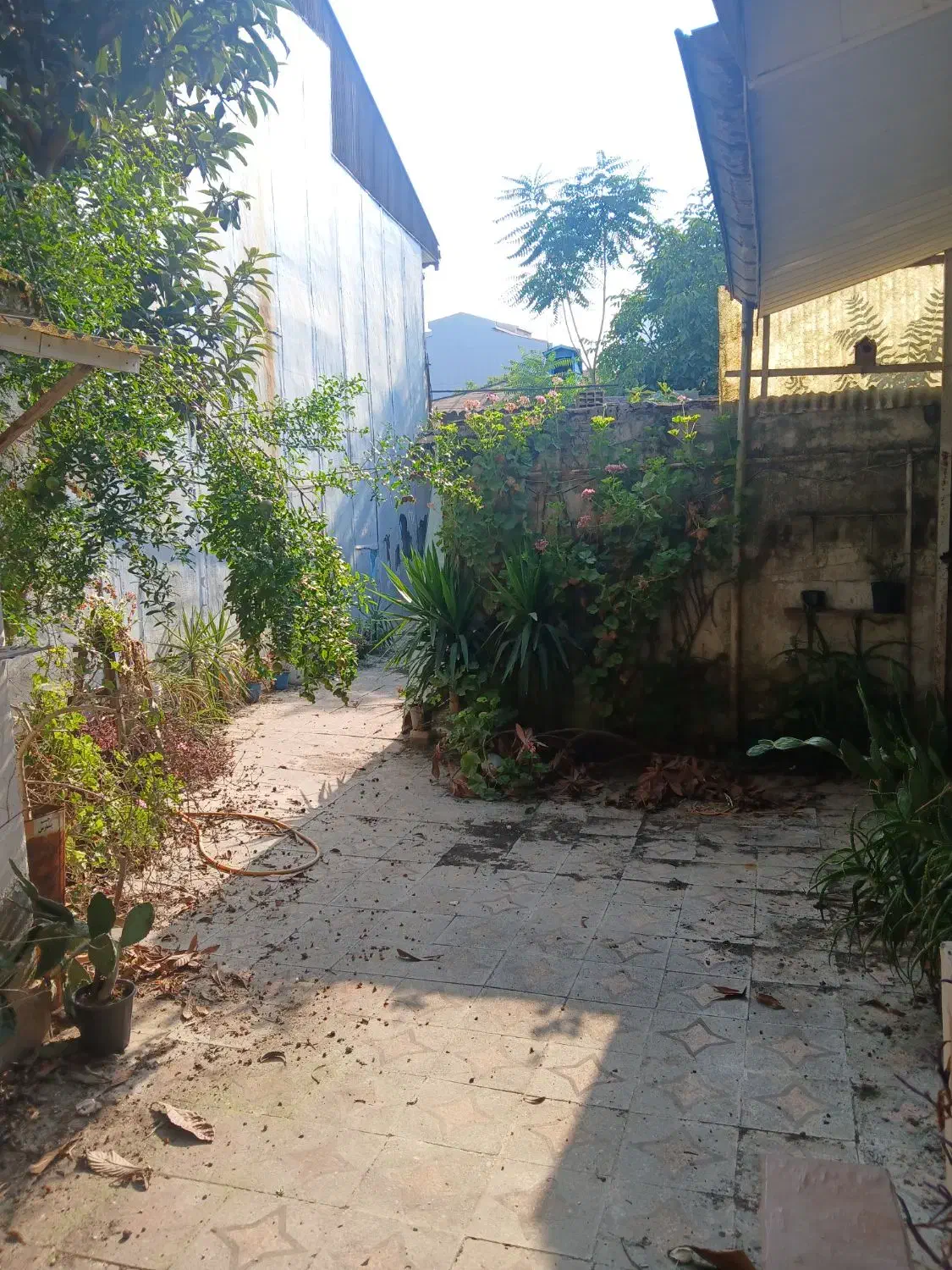 تصویر املاک 10603