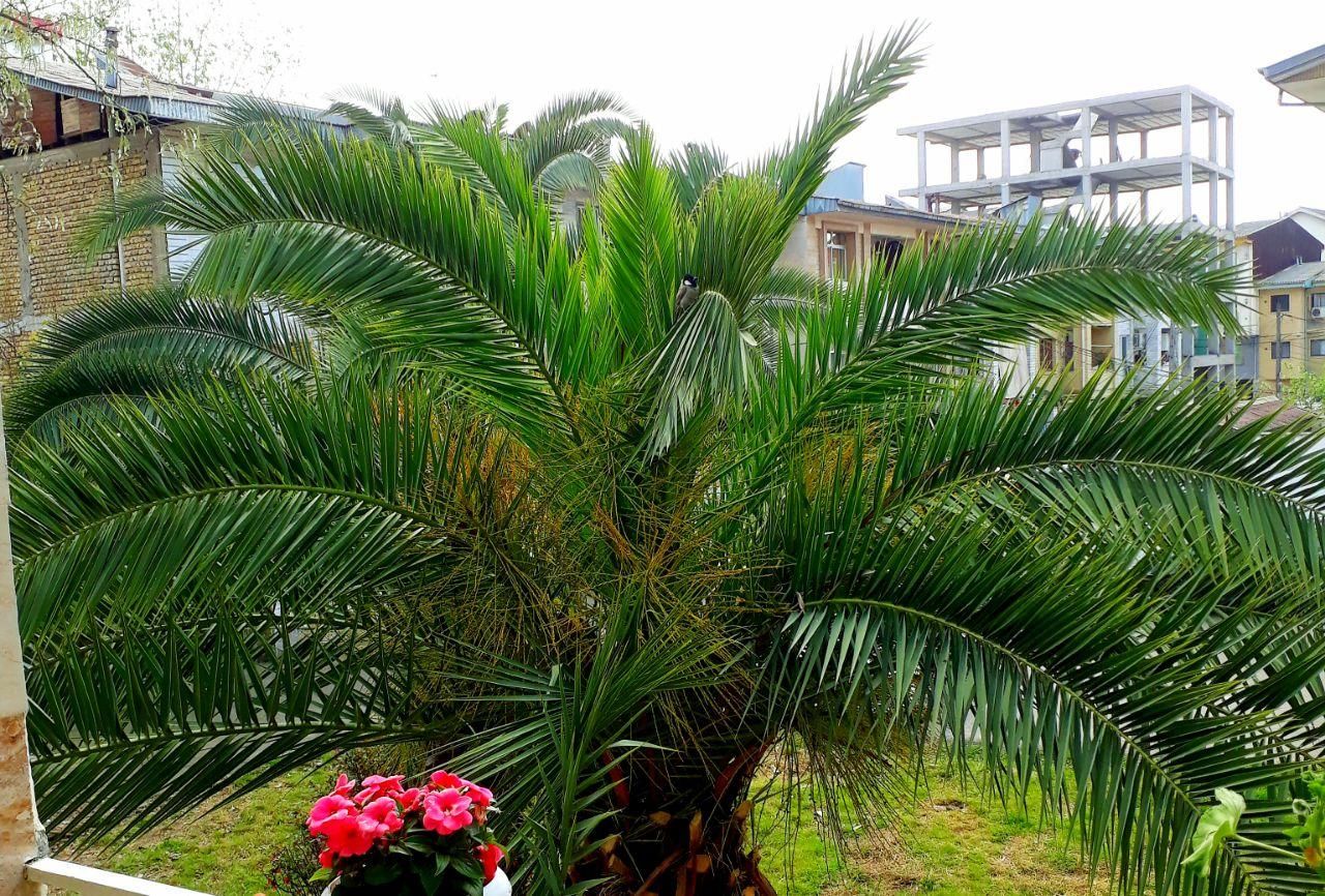 تصویر املاک 5451