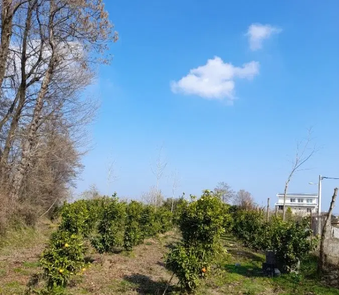 تصویر املاک 115223