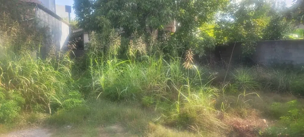 تصویر املاک 136337