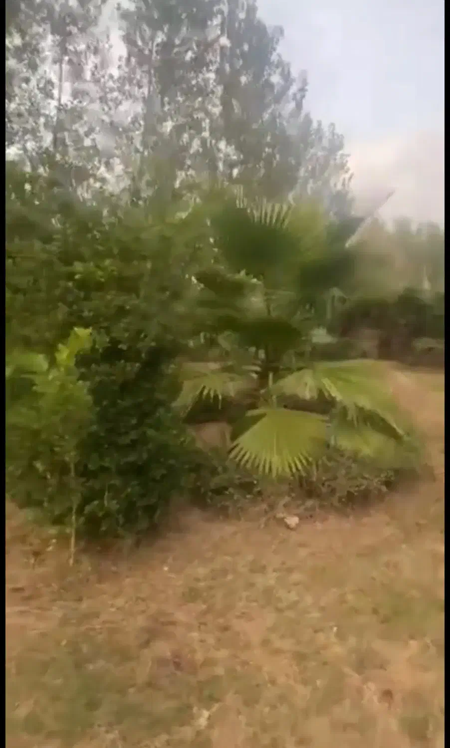 تصویر املاک 37684