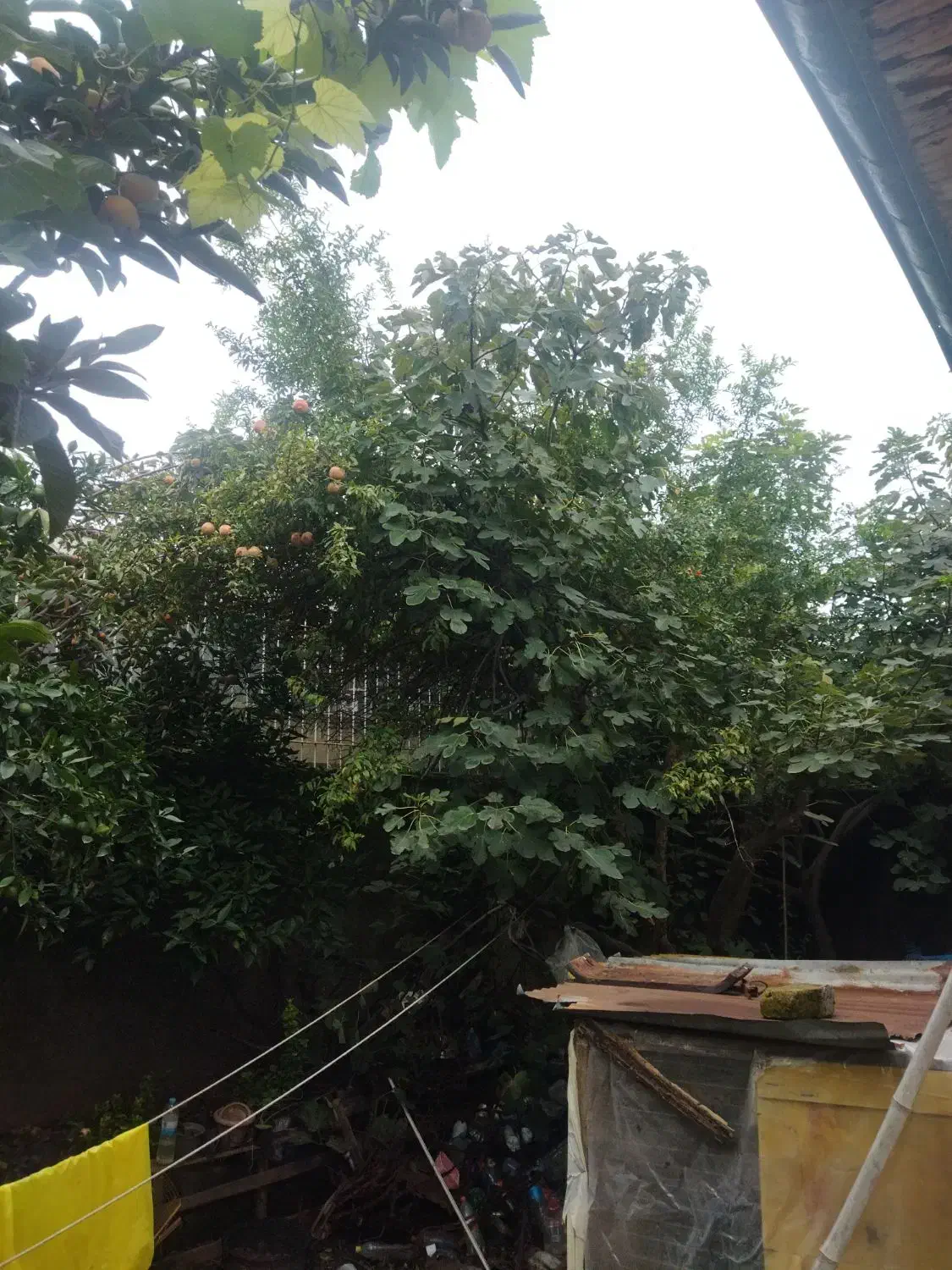 تصویر املاک 6047