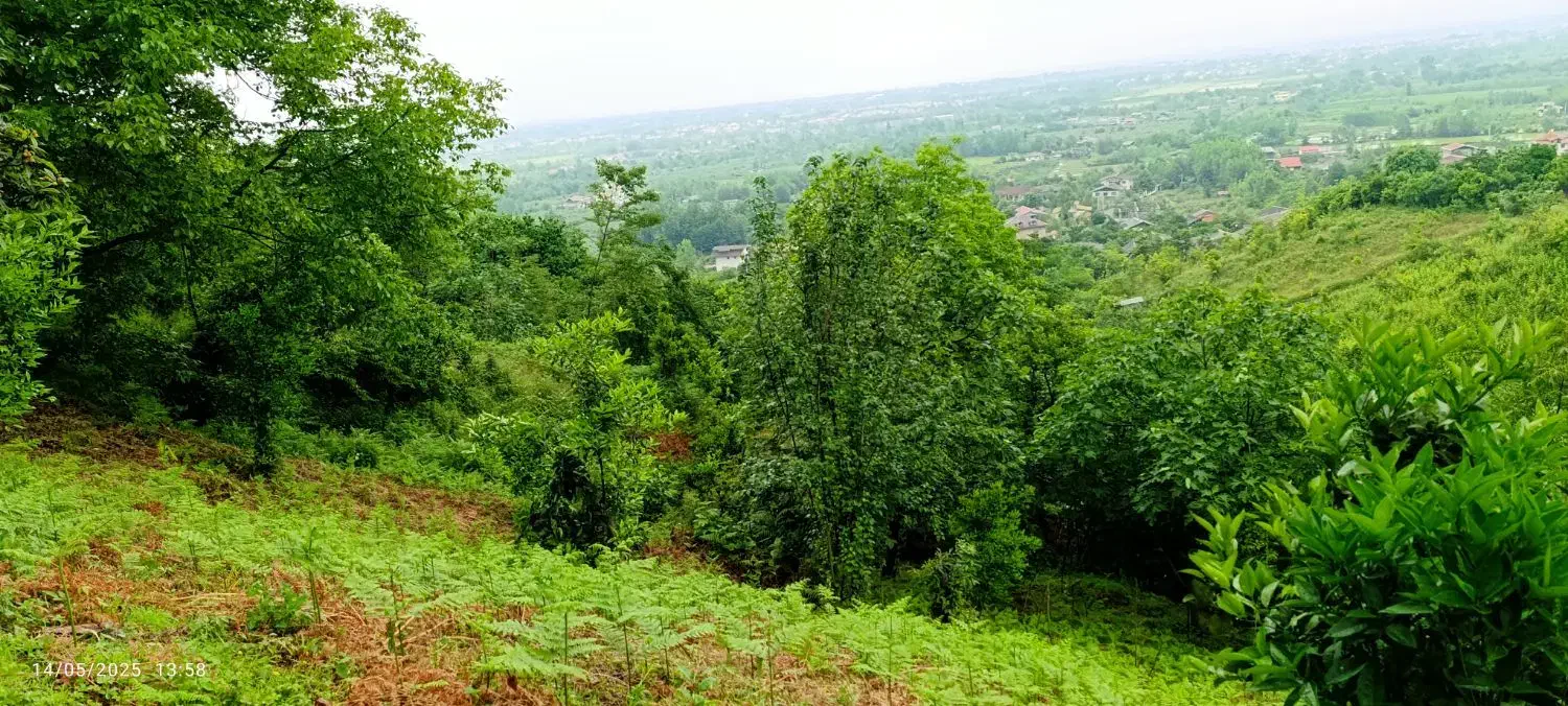 تصویر املاک 4971