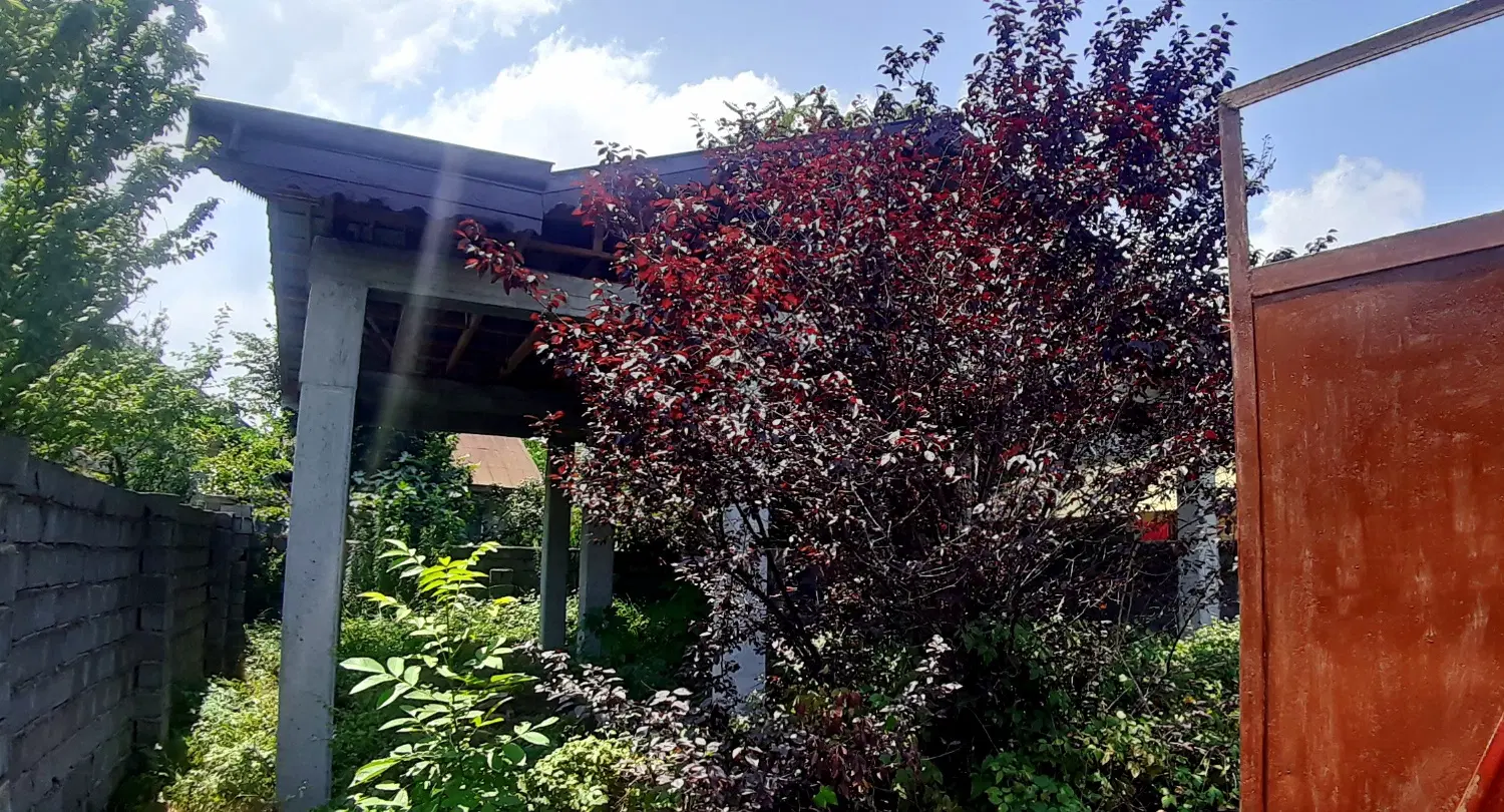 تصویر املاک 123315