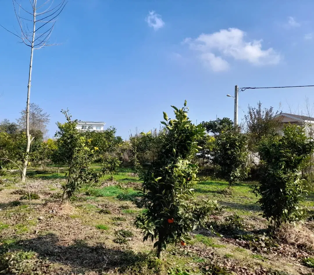 تصویر املاک 115224