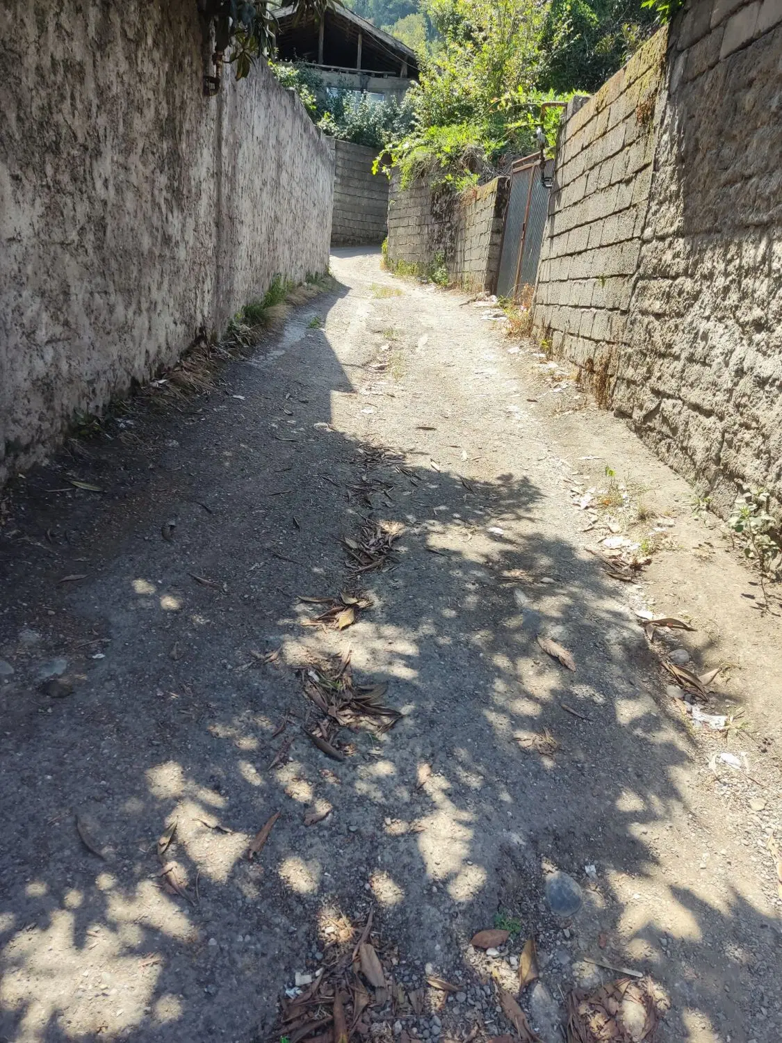 تصویر املاک 112636