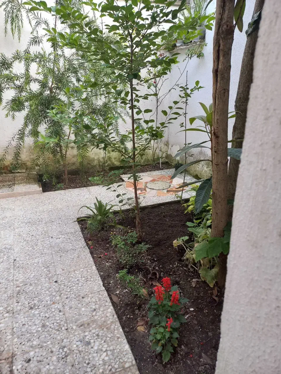 تصویر املاک 28307