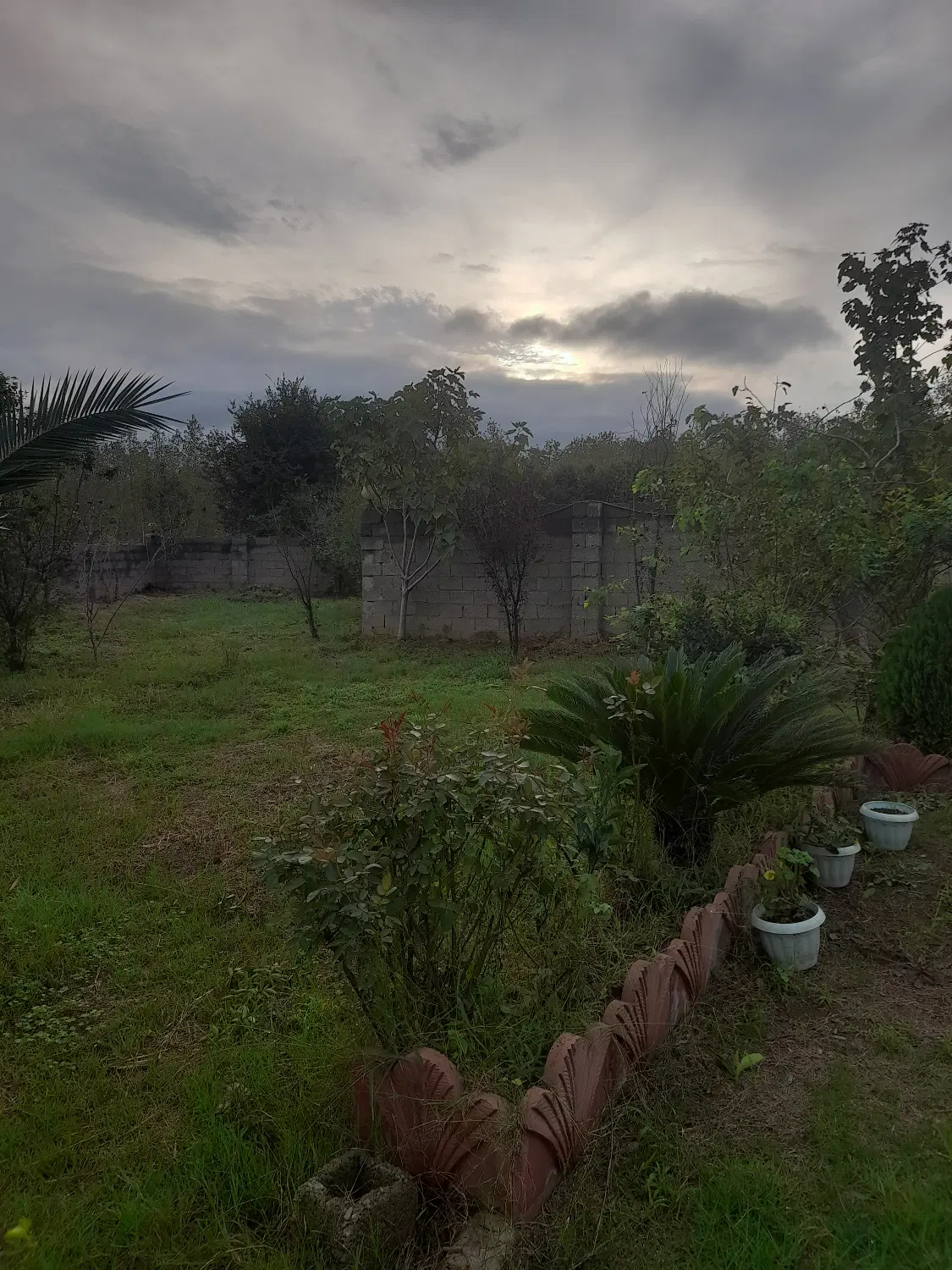 تصویر املاک 137230