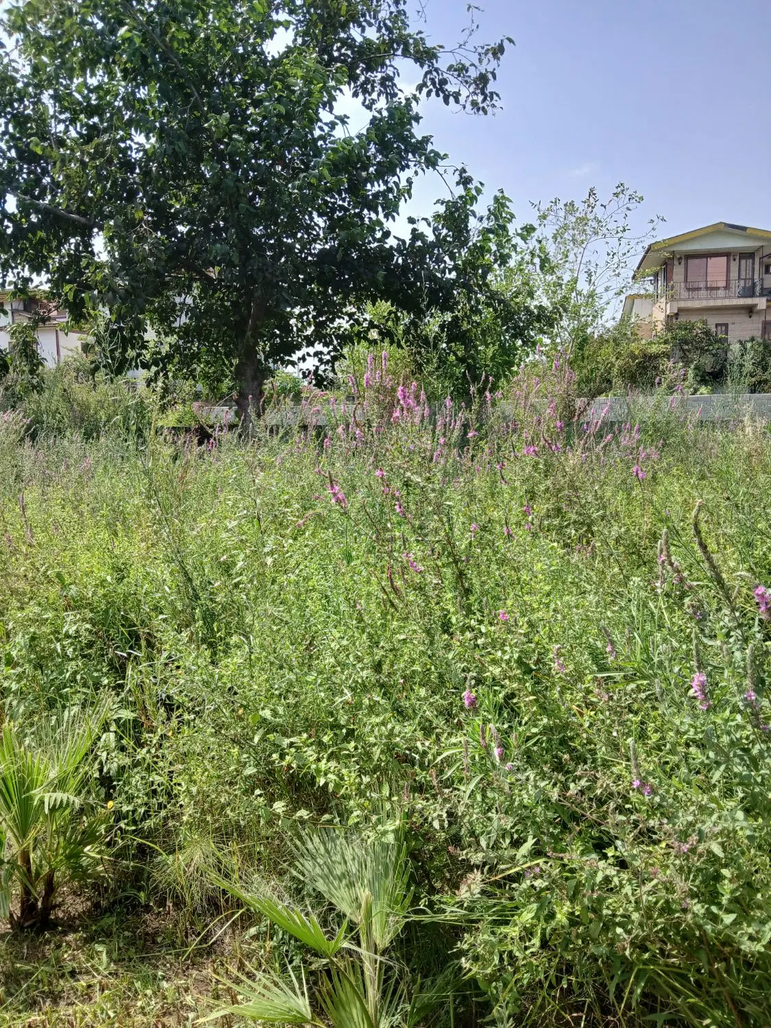 تصویر املاک 120678