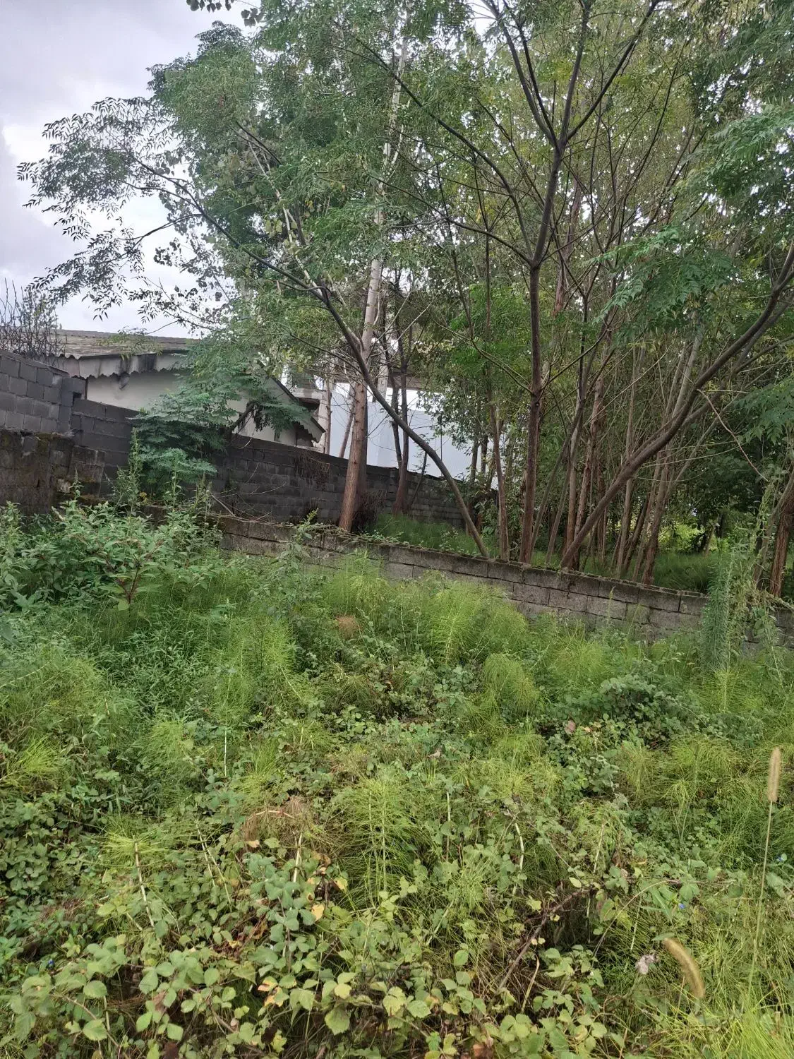 تصویر املاک 8056