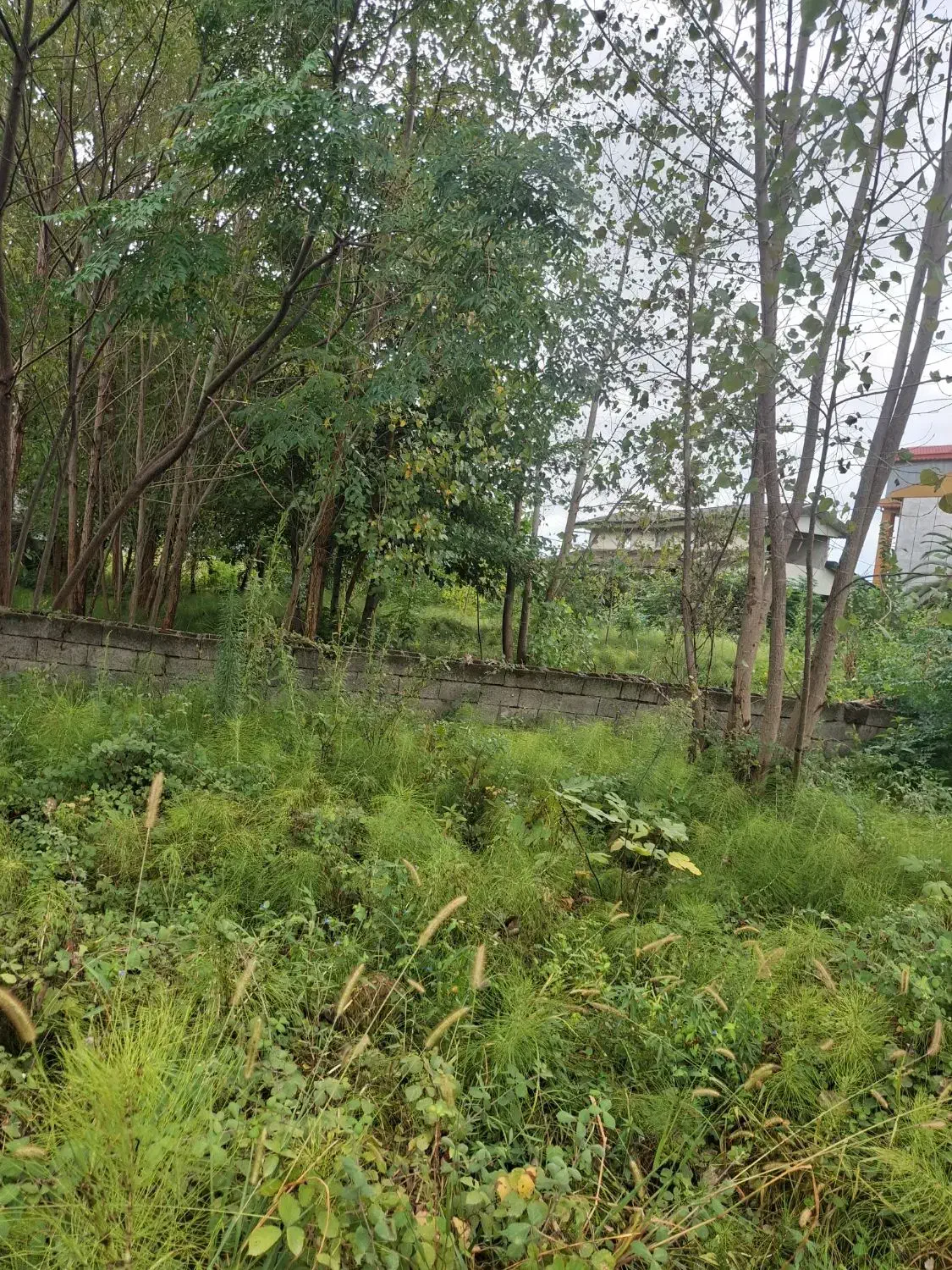 تصویر املاک 8055