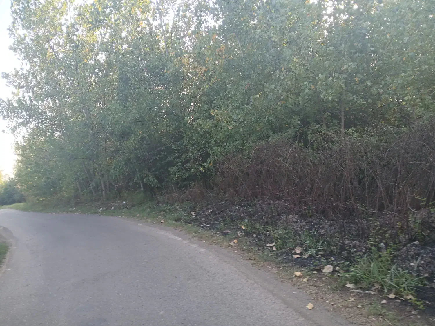 تصویر املاک 5561