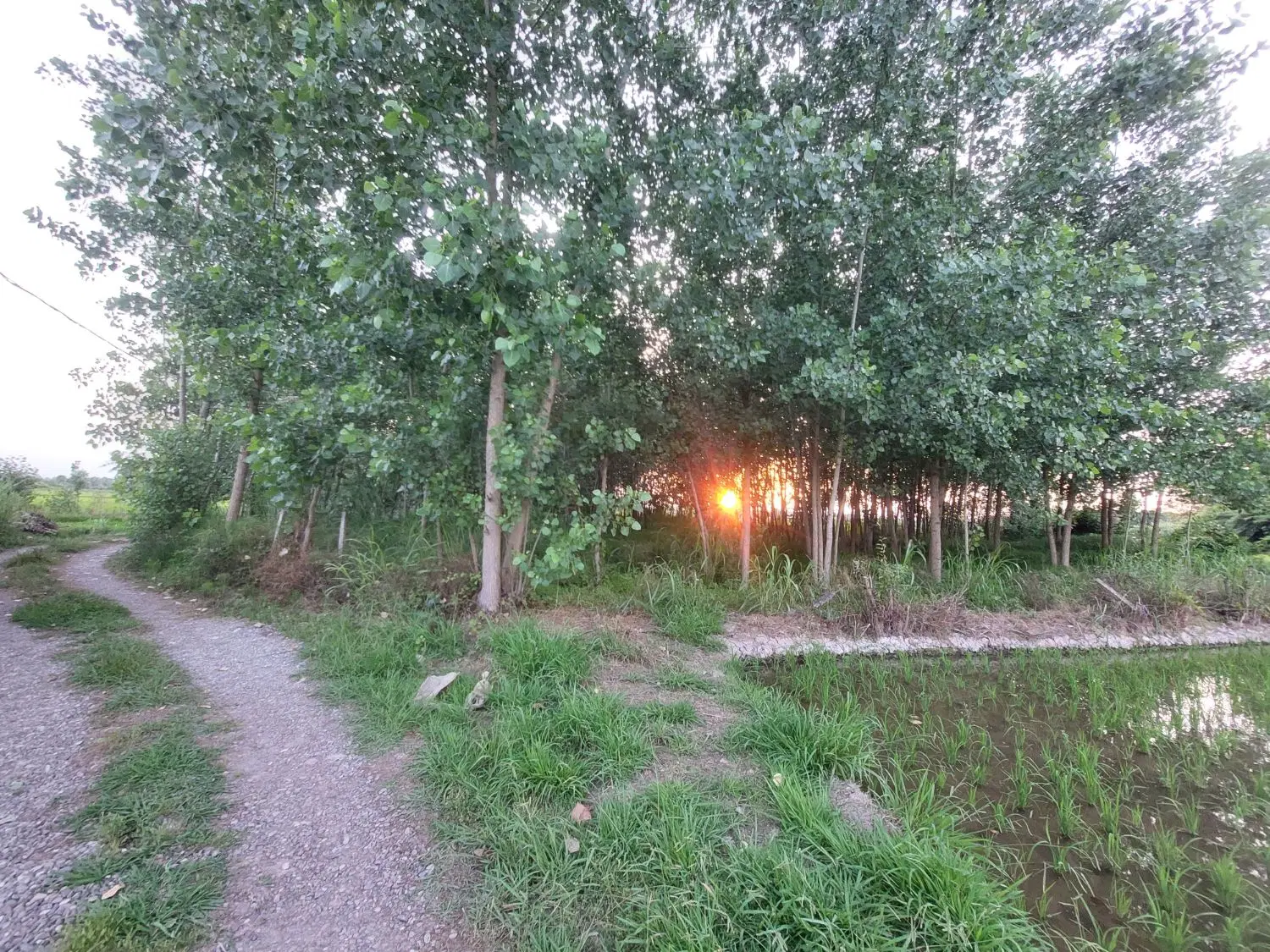 تصویر املاک 100049
