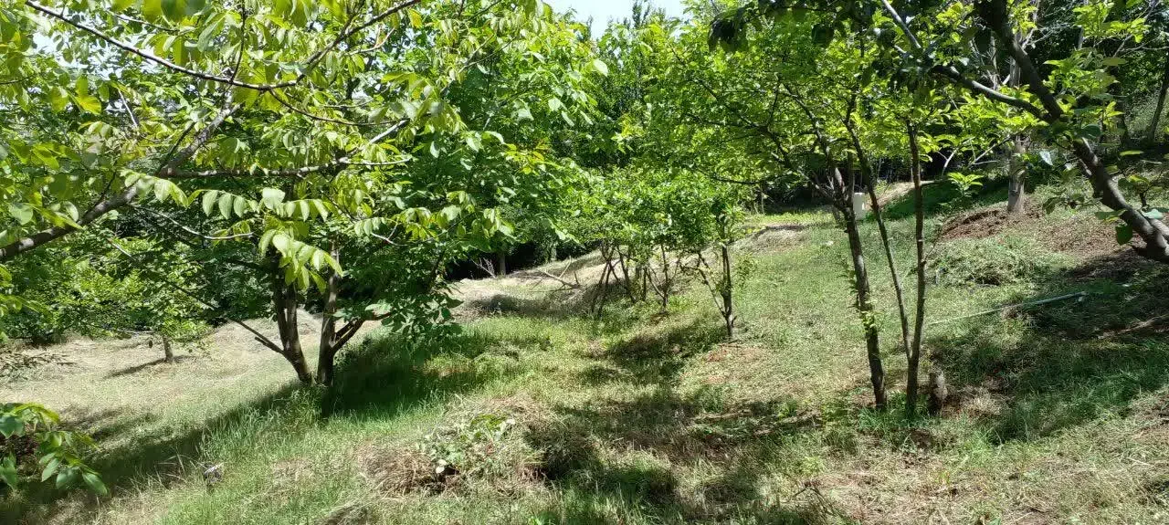 تصویر املاک 8528