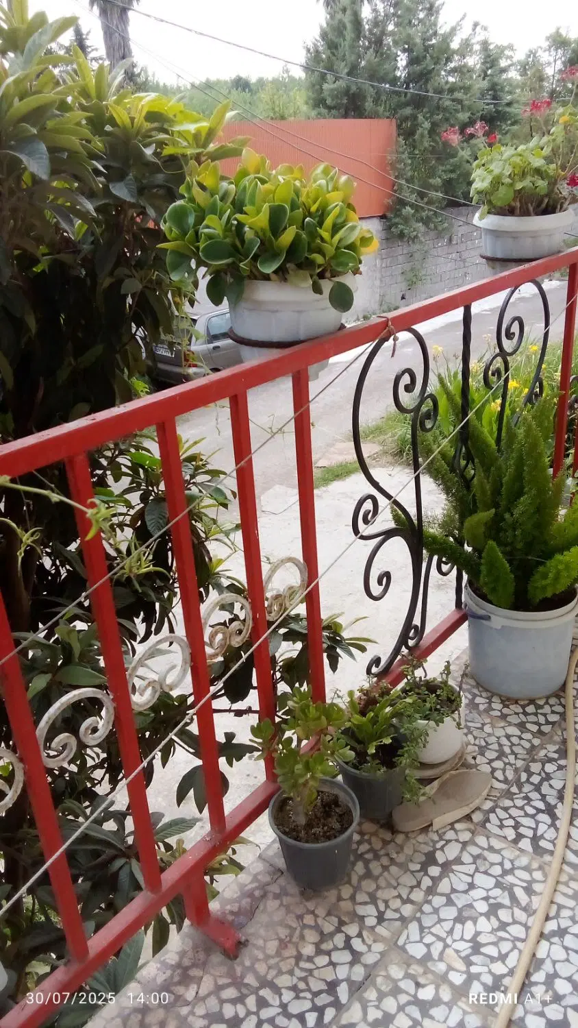 تصویر املاک 81490