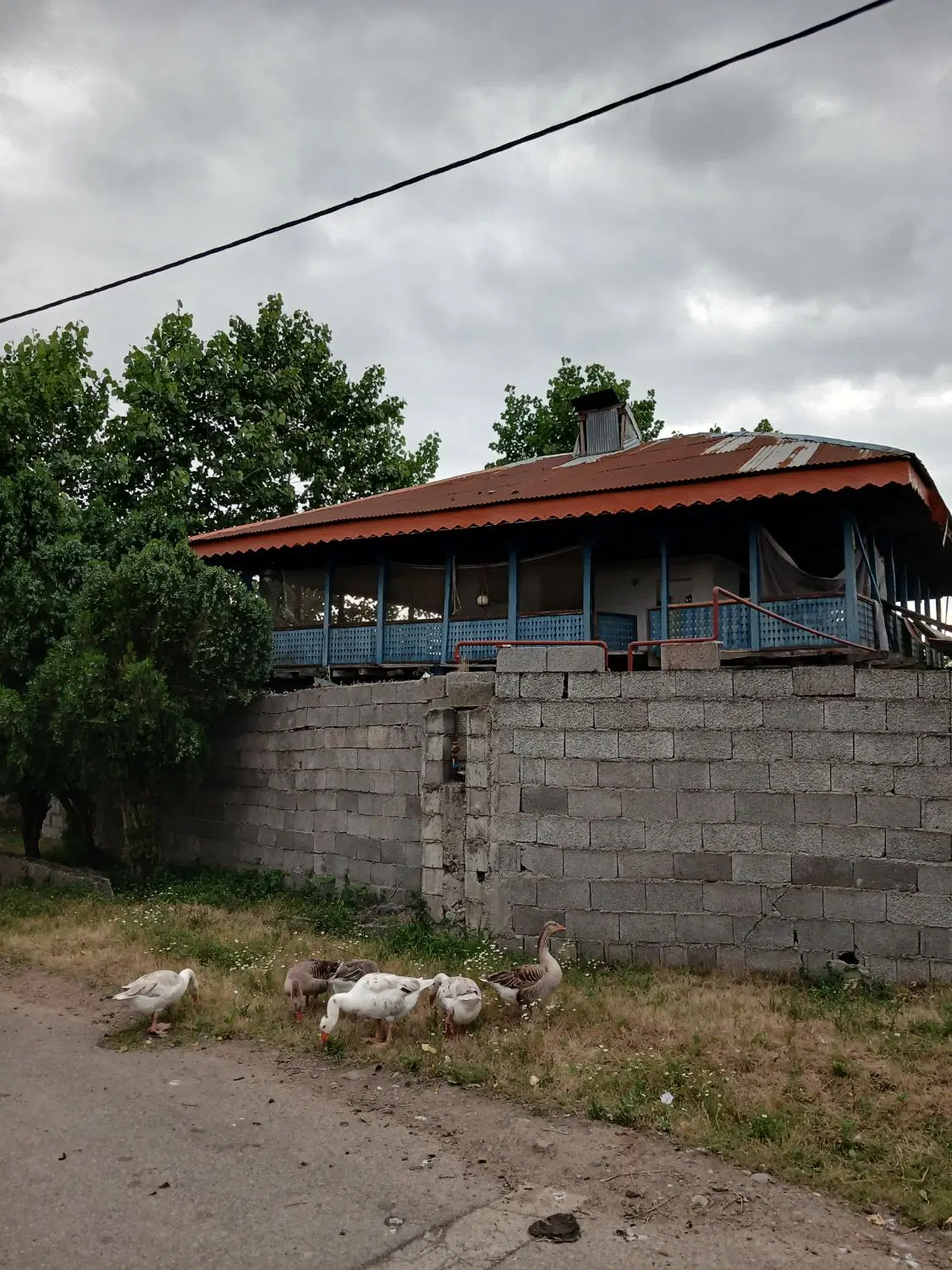 تصویر املاک 63530