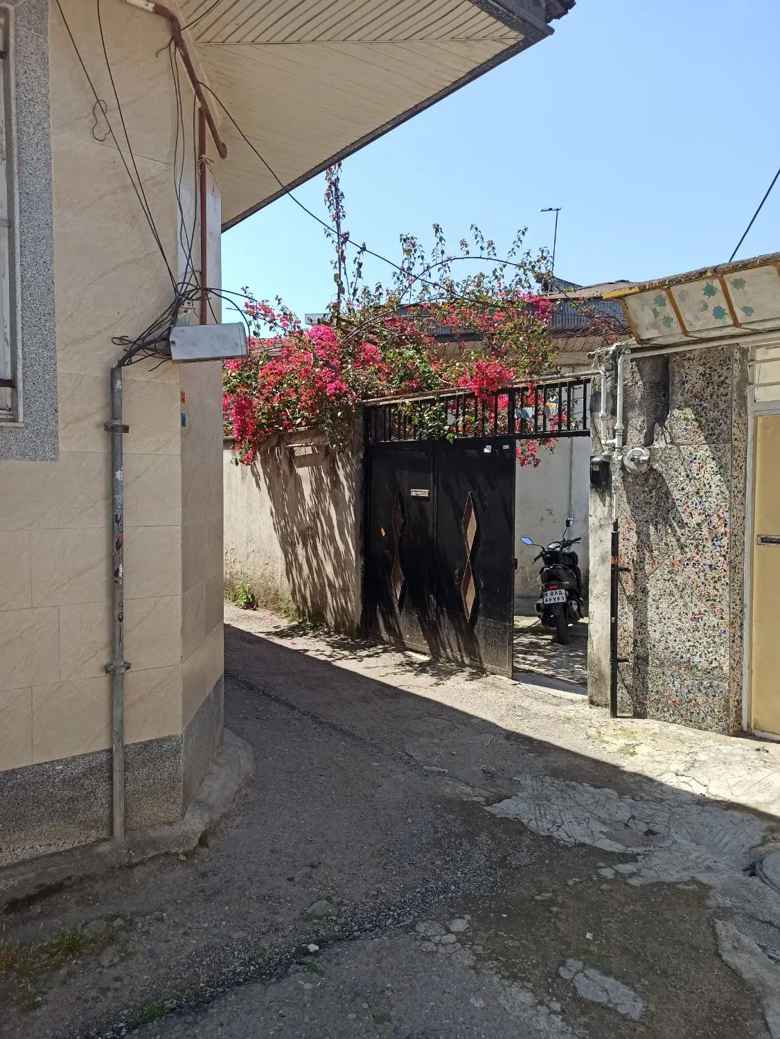 تصویر املاک 118219