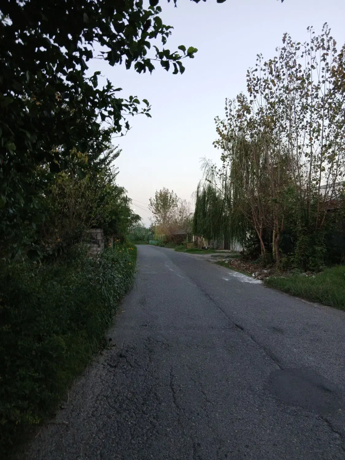 تصویر املاک 5584