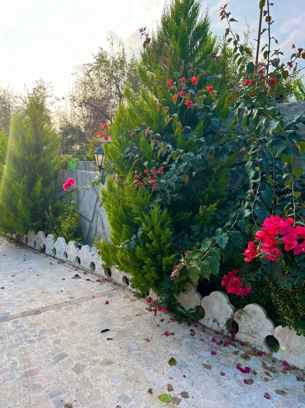تصویر املاک 20623