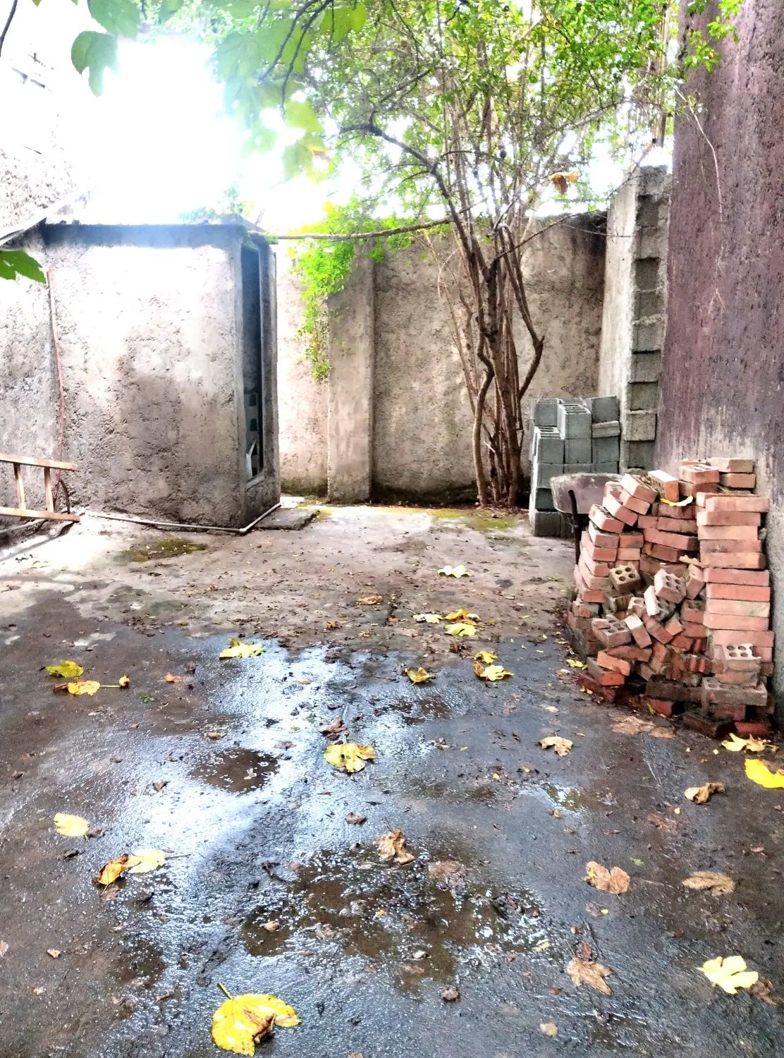 تصویر املاک 119847