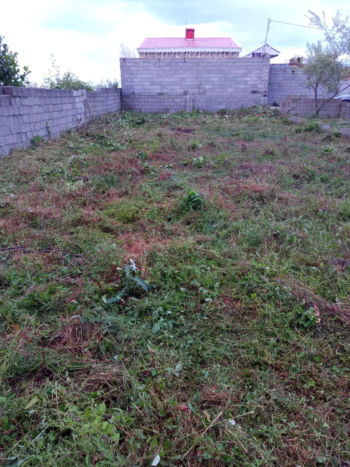 تصویر املاک 44481