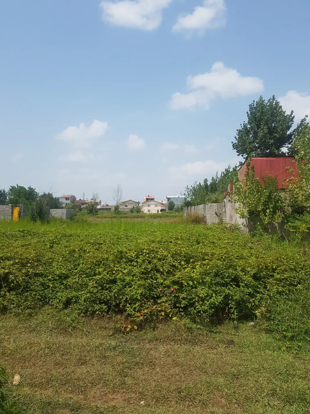 تصویر املاک 94179