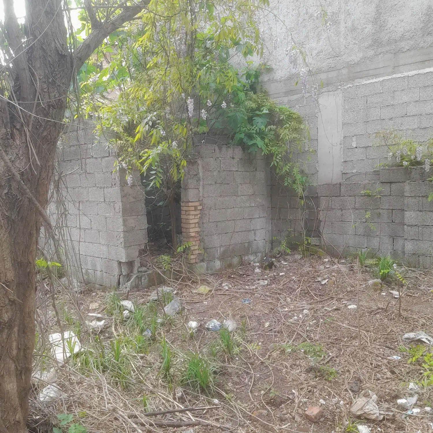 تصویر املاک 36912